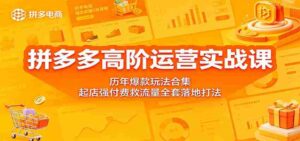 拼多多高阶运营实战课:历年爆款玩法合集,起店强付费救流量全套落地打法-中创网_分享创业项目_助您在家赚钱