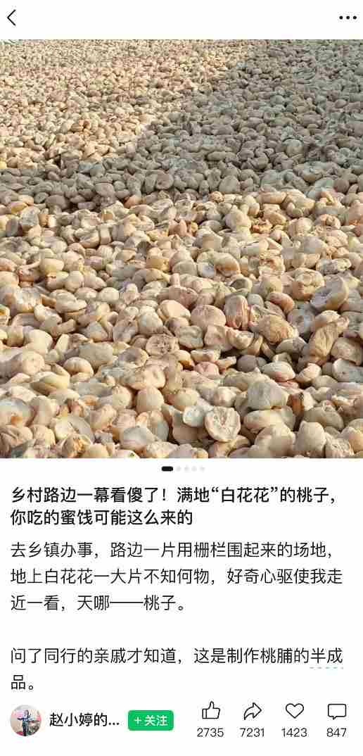 公众号小绿书贴图项目,赚收益实操玩法,听话照听话照少走90%弯路丨副业可做
