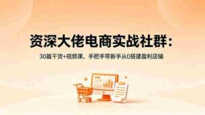 (18529期)资深大佬电商实战社群:30篇干货+视频课,手把手带新手从0搭建盈利店铺-中创网_分享创业项目_助您在家赚钱