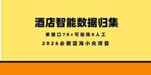 （18500期）酒店智能数据归集，小众蓝海已经稳定半年之久，单窗口70+零成本矩阵开干-中创网_分享创业项目_助您在家赚钱