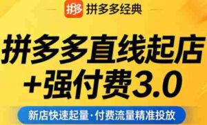 拼多多直线起店+强付费3.0,教你稳定起店、高效控投产、破解流量瓶颈(更新4月)-中创网_分享创业项目_助您在家赚钱