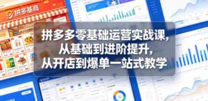 拼多多零基础运营实战课,从基础到进阶提升,从开店到爆单一站式教学-中创网_分享创业项目_助您在家赚钱