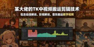 某大佬的TK中视频搬运剪辑技术,包含动漫解说、影视解说、音乐搬运教学视频-中创网_分享创业项目_助您在家赚钱