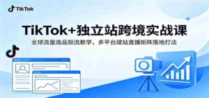 TikTok+独立站跨境实战课:全球流量选品投流教学,多平台建站直播矩阵落地打法-中创网_分享创业项目_助您在家赚钱