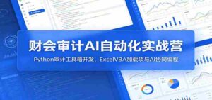 财会审计AI自动化实战营:Python审计工具箱开发,ExcelVBA加载项与AI协同编程-中创网_分享创业项目_助您在家赚钱