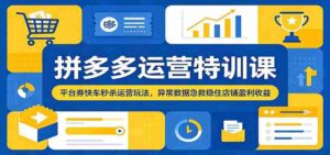 拼多多运营特训课:平台券快车秒杀运营玩法,异常数据急救稳住店铺盈利收益-中创网_分享创业项目_助您在家赚钱