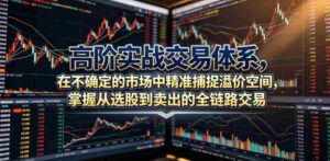 高阶实战交易体系,在不确定的市场中精准捕捉溢价空间,掌握从选股到卖出的全链路交易心法(更新6月)-中创网_分享创业项目_助您在家赚钱