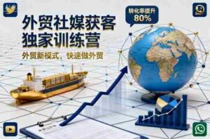 外贸社媒获客独家训练营,外贸新模式,快速做外贸(更新26年6月)-中创网_分享创业项目_助您在家赚钱