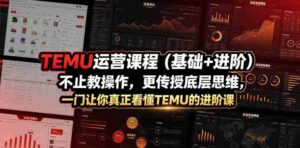 TEMU运营课程(基础+进阶),不止教操作,更传授底层思维,一门让你真正看懂TEMU的进阶课-中创网_分享创业项目_助您在家赚钱