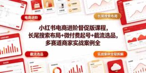 小红书电商进阶督促版课程,长尾搜索布局+微付费起号+截流选品,多赛道商家实战案例全程拆解-中创网_分享创业项目_助您在家赚钱