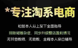 松鼠会电商VIP课程，从基础布局到高阶优化，助你掌握淘宝运营逻辑，提升店铺流量与转化-中创网_分享创业项目_助您在家赚钱