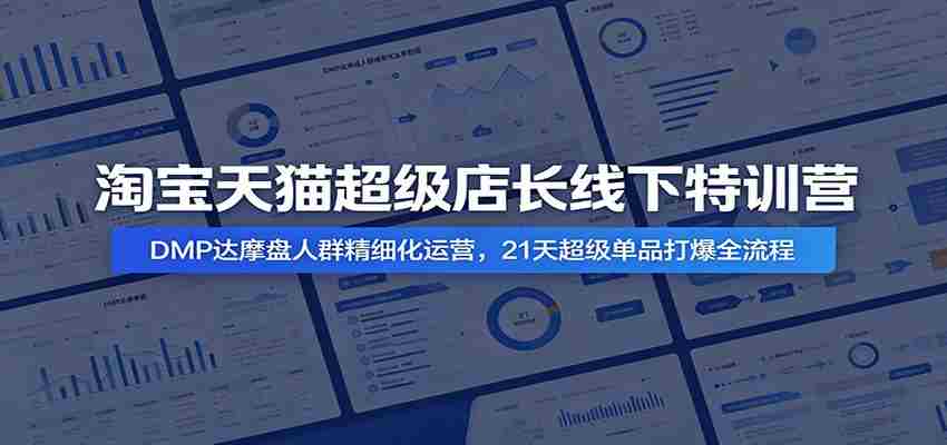 淘宝天猫超级店长线下特训营：DMP达摩盘人群精细化运营，21天超级单品打爆全流程-中创网_分享创业项目_助您在家赚钱