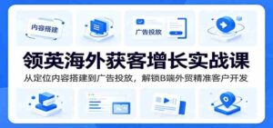 领英海外获客增长实战课:从定位内容搭建到广告投放,解锁B端外贸精准客户开发-中创网_分享创业项目_助您在家赚钱