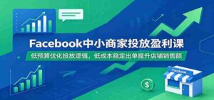 Facebook中小商家投放盈利课:低预算优化投放逻辑,低成本稳定出单提升店铺销售额-中创网_分享创业项目_助您在家赚钱