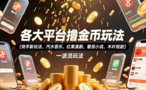 各大平台撸金币玩法(快手新玩法、汽水音乐、红果漫剧、番茄小说、木叶短剧),一波流玩法(收费398元的教程)-中创网_分享创业项目_助您在家赚钱