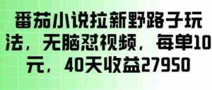 番茄小说拉新野路子玩法,无脑怼视频,玩法简单、见效快,每单10米,40天收益27950-中创网_分享创业项目_助您在家赚钱