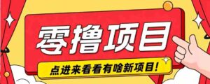 很简单的一个零撸项目,B站小红书发布二次元动漫风格视频,20个赞10元收益最高4000元-中创网_分享创业项目_助您在家赚钱