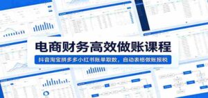 电商财务高效做账课程:抖音淘宝拼多多小红书账单取数,自动表格做账报税-中创网_分享创业项目_助您在家赚钱