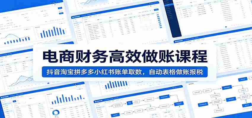 电商财务高效做账课程：抖音淘宝拼多多小红书账单取数，自动表格做账报税-中创网_分享创业项目_助您在家赚钱