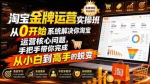 淘宝金牌运营实操班，从0开始系统解决你淘宝运营核心问题，手把手带你完成从小白到高手的蜕变（2026年7月）-中创网_分享创业项目_助您在家赚钱
