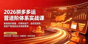 2026拼多多运营进阶体系实战课|新版拖价稳量、付费转投产、自然流矩阵、高投产链接起店全链路教程-中创网_分享创业项目_助您在家赚钱