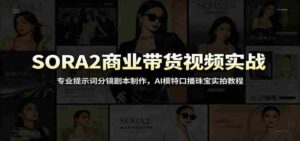 SORA2商业带货视频实战:专业提示词分镜剧本制作,AI模特口播珠宝实拍教程-中创网_分享创业项目_助您在家赚钱