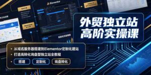 外贸独立站高阶实操课|从域名服务器搭建到Elementor定制化建站,打造高转化询盘型独立站全教程-中创网_分享创业项目_助您在家赚钱