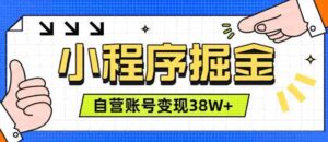 微信小程序掘金,团队自营小程序累计变现38W+,稳定运营三年,一部手机即可操作【揭秘】-中创网_分享创业项目_助您在家赚钱