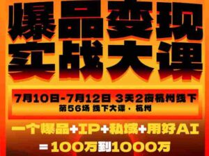 爆品变现实战大课，从爆品，到流量，到成交，一个爆品+IP+私域+用好AI=100W到1000W（7月10-12日）-中创网_分享创业项目_助您在家赚钱