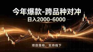 （19179期）全新跨品种对冲模式上线！日稳定盈利 2000-6000，合规长久可批量放大-中创网_分享创业项目_助您在家赚钱