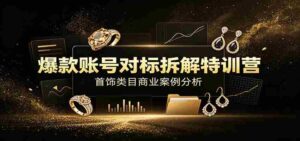 爆款账号对标拆解特训营:首饰类目商业案例分析,配套完整资料内容-中创网_分享创业项目_助您在家赚钱