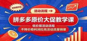 拼多多原价大促教学课：低价报活动流程，不降价稳利润拉高活动流量销量-中创网_分享创业项目_助您在家赚钱