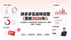 (19291期)拼多多实战特训营(更新2026年):不管是新手入门或老商家冲量,都有实操方法,跟着学,少走弯路-中创网_分享创业项目_助您在家赚钱