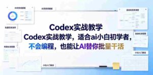 Codex实战教学,适合ai小白初学者,不会编程,也能让AI替你批量干活-中创网_分享创业项目_助您在家赚钱