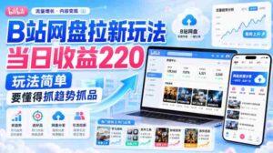 B站网盘拉新玩法当日收益220玩法简单要懂得抓趋势抓品-中创网_分享创业项目_助您在家赚钱