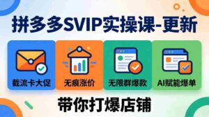 (19626期)拼多多SVIP实操课-26年7月,截流卡大促+无痕涨价+无限群爆款+AI赋能爆单新玩法,带你打爆店铺-中创网_分享创业项目_助您在家赚钱