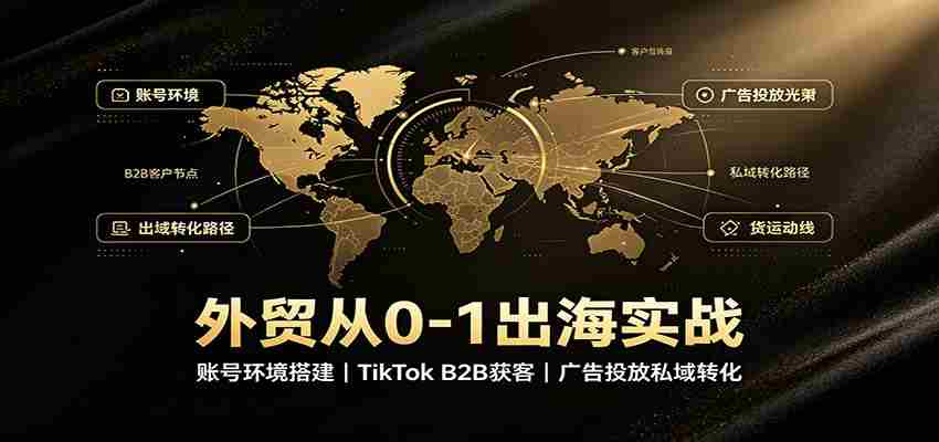 外贸从0-1出海实战：账号环境搭建，TikTok B2B获客，广告投放私域转化-中创网_分享创业项目_助您在家赚钱