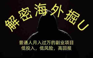 (19841期)解密海外掘U,普通人月入过万的副业项目,低投入、低风险高回报,没有之一-中创网_分享创业项目_助您在家赚钱