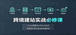 跨境建站实战必修课:Codex搭建WordPress站点,关键词外链打造谷歌流量阵地-中创网_分享创业项目_助您在家赚钱