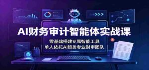 AI财务审计智能体实战课:零基础搭建专属智能工具,单人依托AI媲美专业财审团队-中创网_分享创业项目_助您在家赚钱