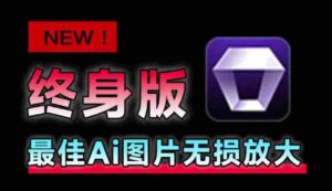 Win/Mac双端支持!最新永久终身版,支持老照片修复,图片变清晰无损放大工具,Aiarty Image Enhancer-中创网_分享创业项目_助您在家赚钱