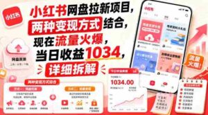 小红书网盘拉新项目，两种变现方式结合，现在流量火爆，当日收益1034，详细拆解-中创网_分享创业项目_助您在家赚钱