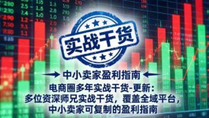 (19761期)电商圈多年实战干货-更新2026:多位资深师兄实战干货/覆盖全域平台,中小卖家可复制的盈利指南-中创网_分享创业项目_助您在家赚钱