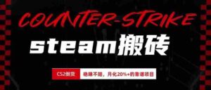 （19918期）steam搬砖，倒卖cs2饰品，达到月化20%+的收益，真正的靠谱可落地长期项目-中创网_分享创业项目_助您在家赚钱