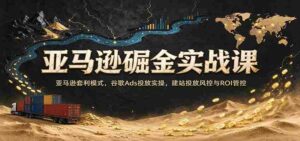 探索亚马逊商机秘籍:深入套利策略,实操谷歌广告投放,网站营销风险控制与收益最大化指南-中创网_分享创业项目_助您在家赚钱