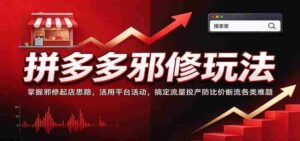拼多多邪修玩法:掌握邪修起店思路,活用平台活动,搞定流量投产防比价断流各类难题-中创网_分享创业项目_助您在家赚钱