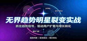无界趋势明星裂变实战:词路裂变优化,拉新成交与全店收割打法-中创网_分享创业项目_助您在家赚钱