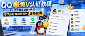 QQ黄V认证教程，个人主资料显示黄V认证，号下所有群都是黄V，逼格拉满-中创网_分享创业项目_助您在家赚钱
