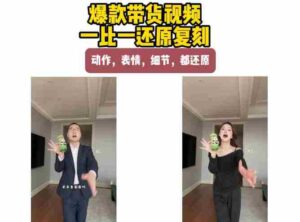 AI带货视频复刻,一比一还原加二创,动作,表情,细节,都还原,新手也能直接套用-中创网_分享创业项目_助您在家赚钱