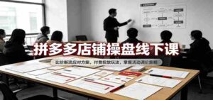揭秘拼多多线下实战:破解比价困境,深度解析付费推广技巧,高效掌握活动价格调控术-中创网_分享创业项目_助您在家赚钱